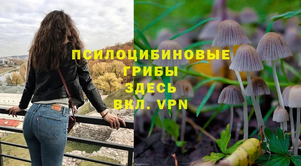 молекула духа Баксан