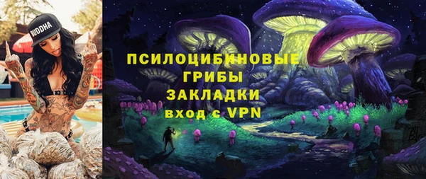 трава Арсеньев