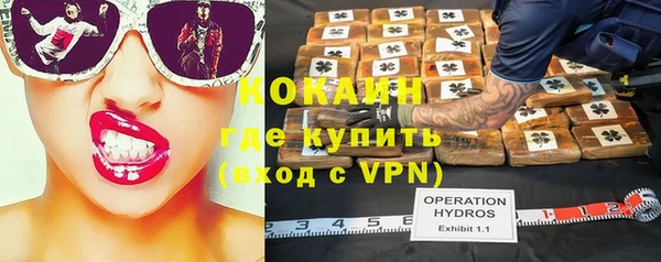 трава Арсеньев