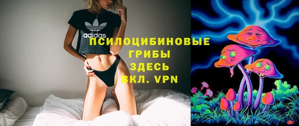 трава Арсеньев